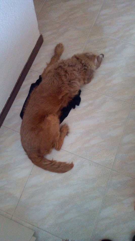 IMG-20211113-WA0040